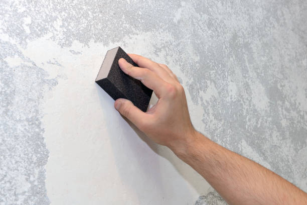 Best Mold Remediation for Healthcare Facilities  in Gila Bend, AZ