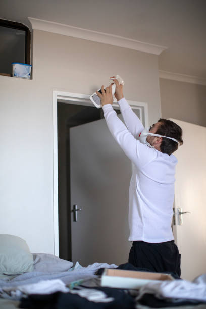  Gila Bend, AZ Mold Removal Pros