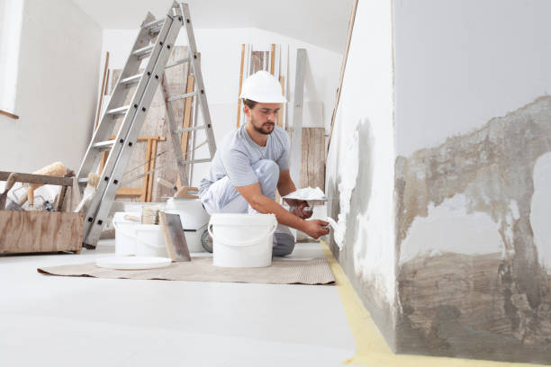 Mold Odor Removal Services in Gila Bend, AZ