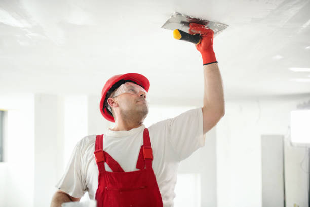 Best Environmental Consulting for Mold Prevention  in Gila Bend, AZ