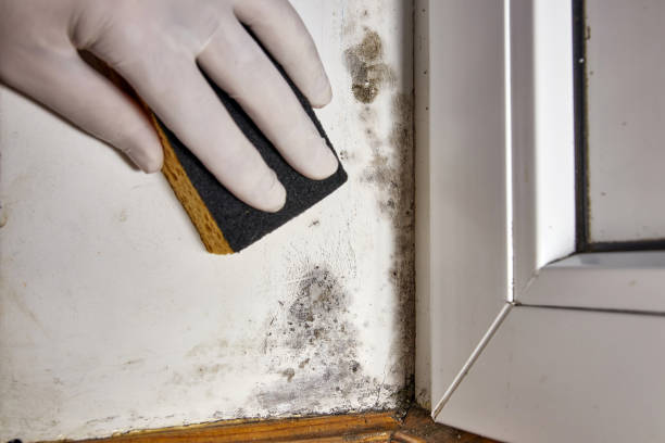 Best Airborne Mold Testing  in Gila Bend, AZ