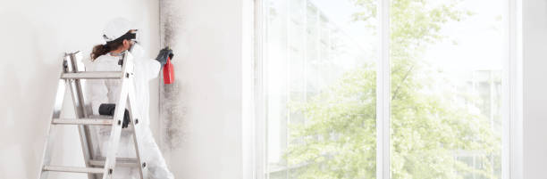 Best Mold Prevention Services  in Gila Bend, AZ