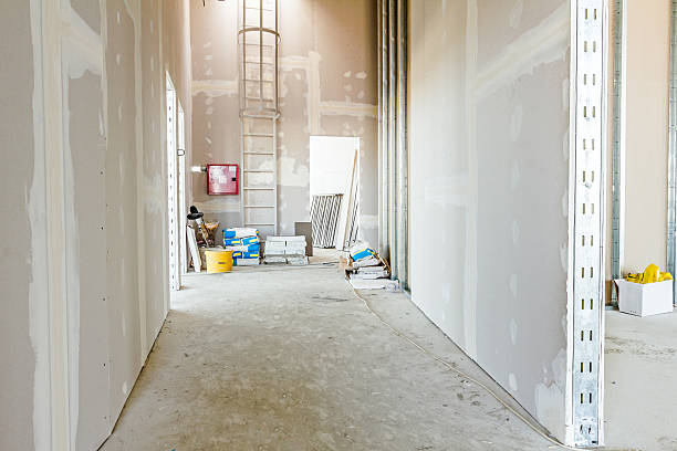 Best Mold Odor Removal Services  in Gila Bend, AZ