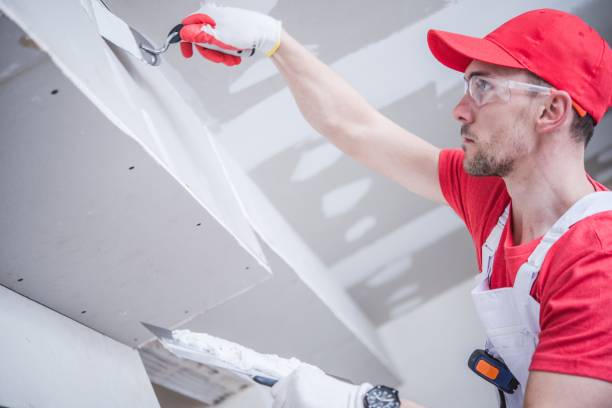 Trusted Gila Bend, AZ Mold Removal Experts